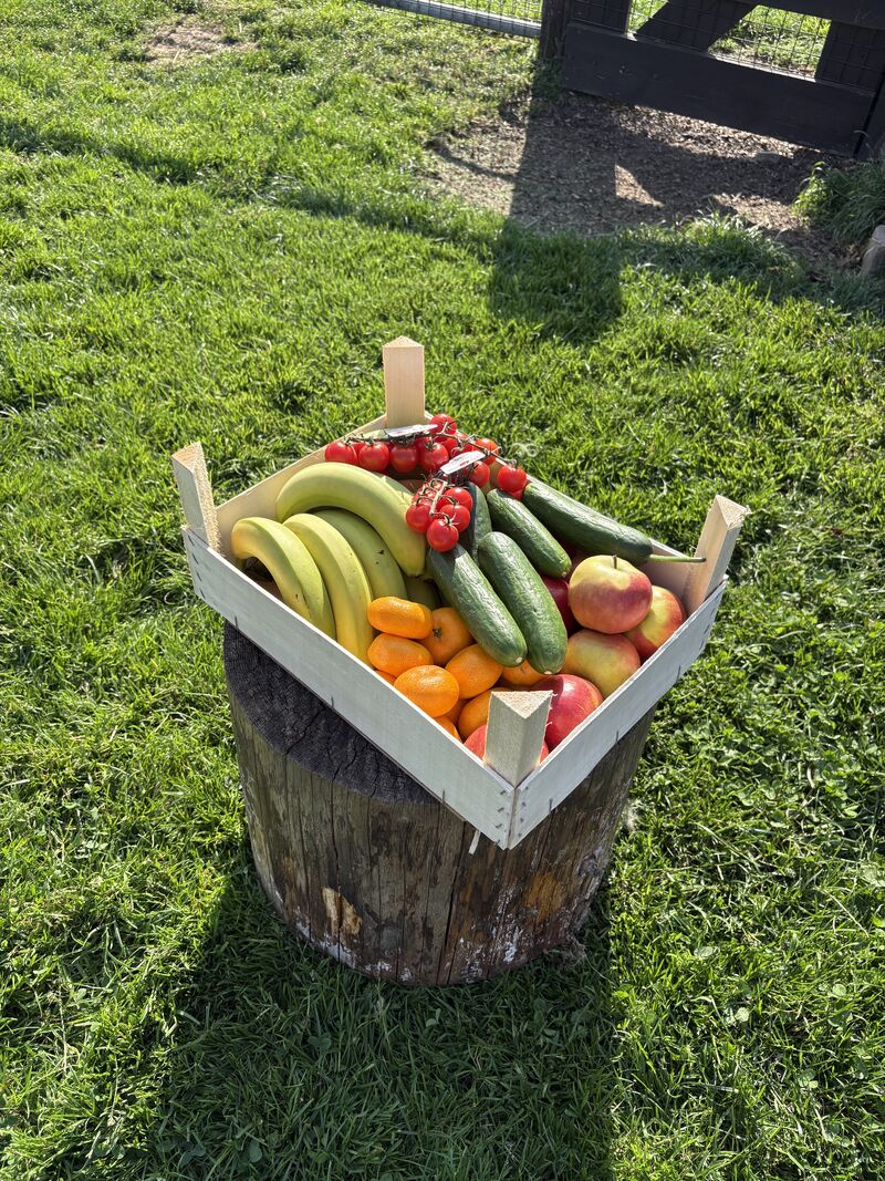 De Rebelbox, het eerste concept van Snack Rebels